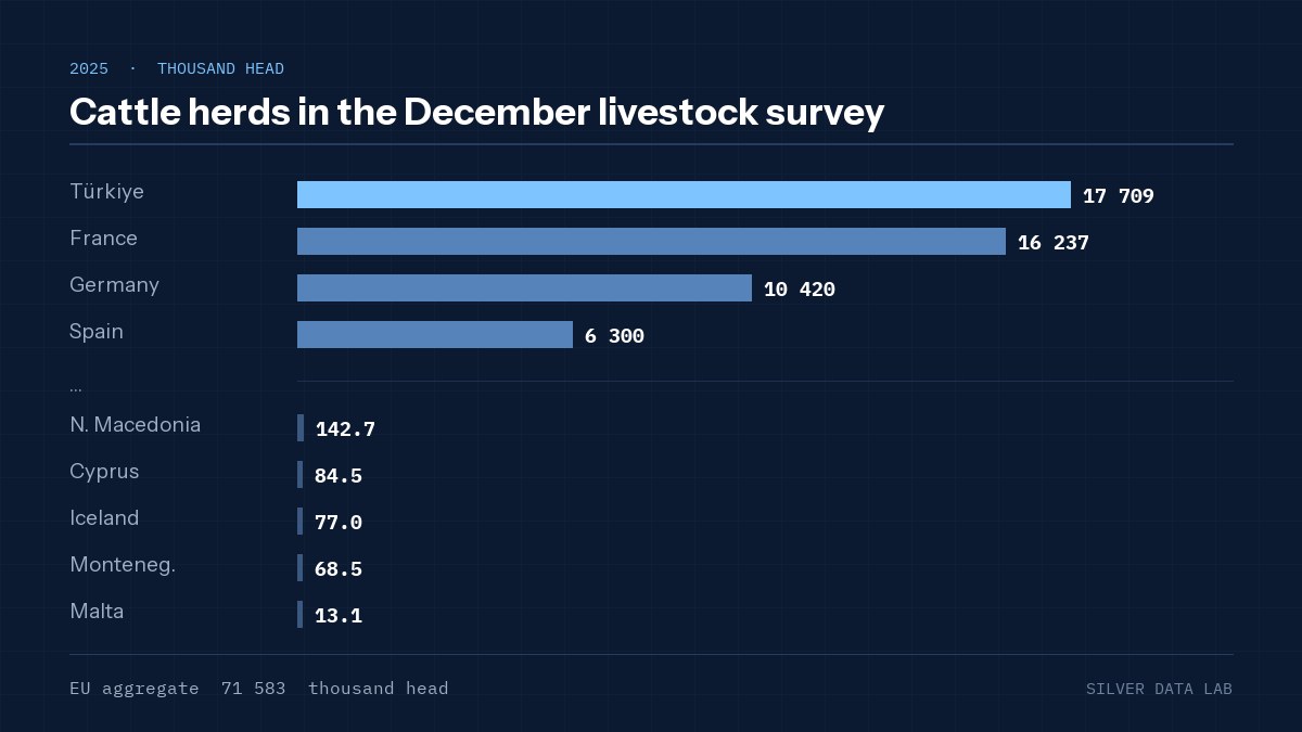 Cattle herds in the December livestock survey